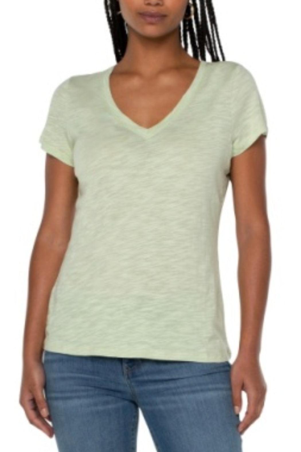 Slim Fit V Neck Tee Female Product Image