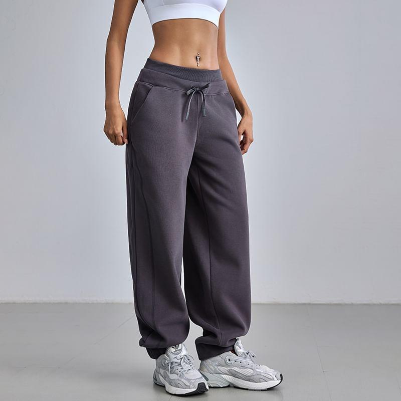 Drawstring Waist Plain Fleece-Lined Straight Leg Sweatpants Product Image