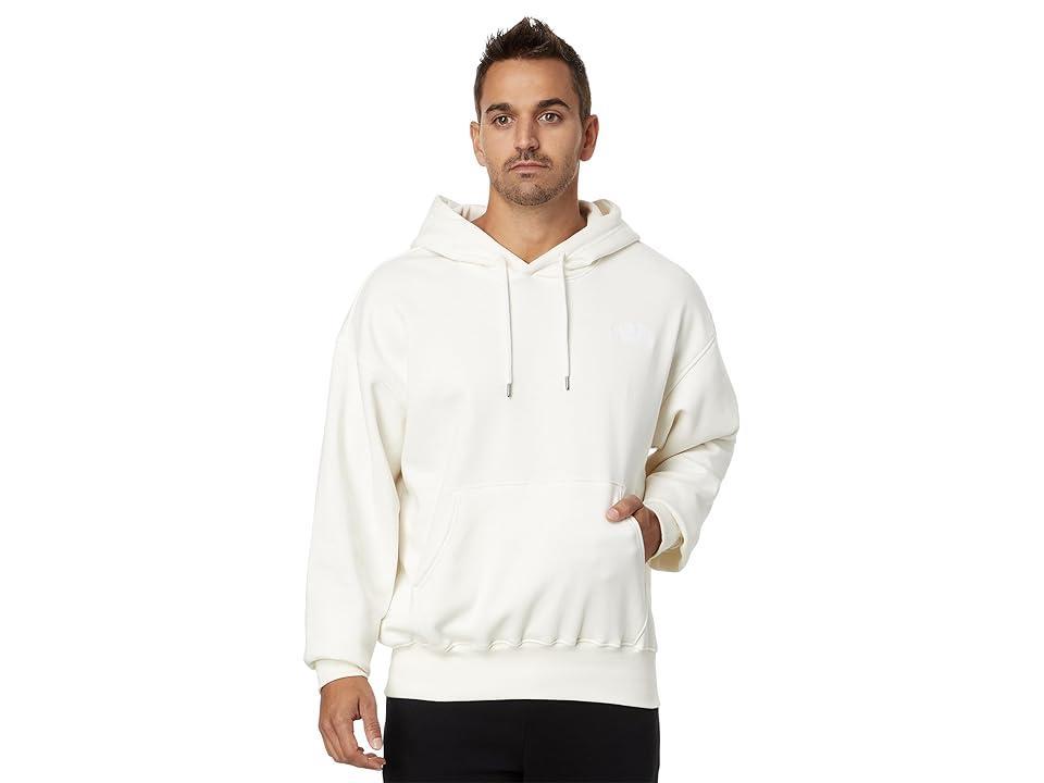 The North Face Evolution Vintage Hoodie Dune) Men's Sweatshirt Product Image