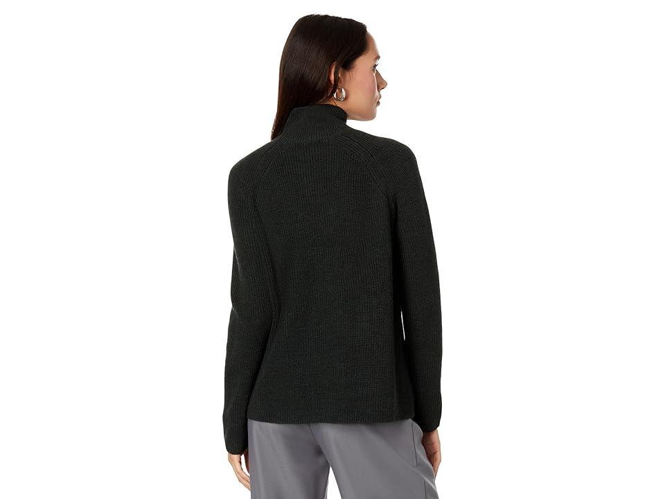 Eileen Fisher Turtleneck Raglan Top (Ivy) Women's Clothing Product Image