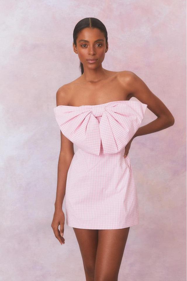 Bellica Gingham Mini Dress Product Image