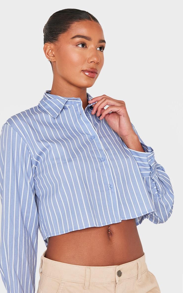 Blue Striped Deep Cuff Shirt Product Image