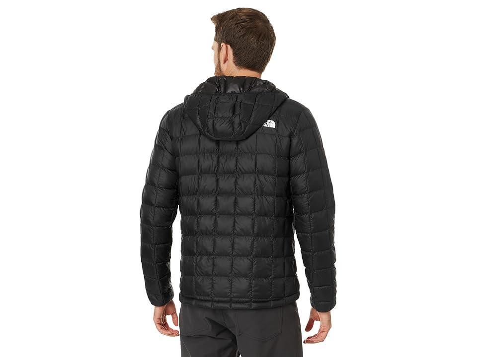 The North Face ThermoBall Eco Hoodie 2.0 (TNF -NPF) Men's Coat Product Image