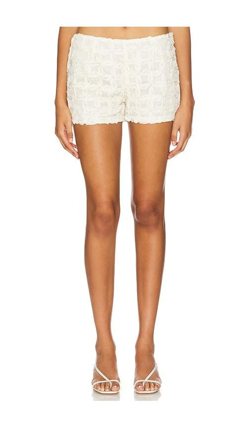 Love Hot Pants Product Image