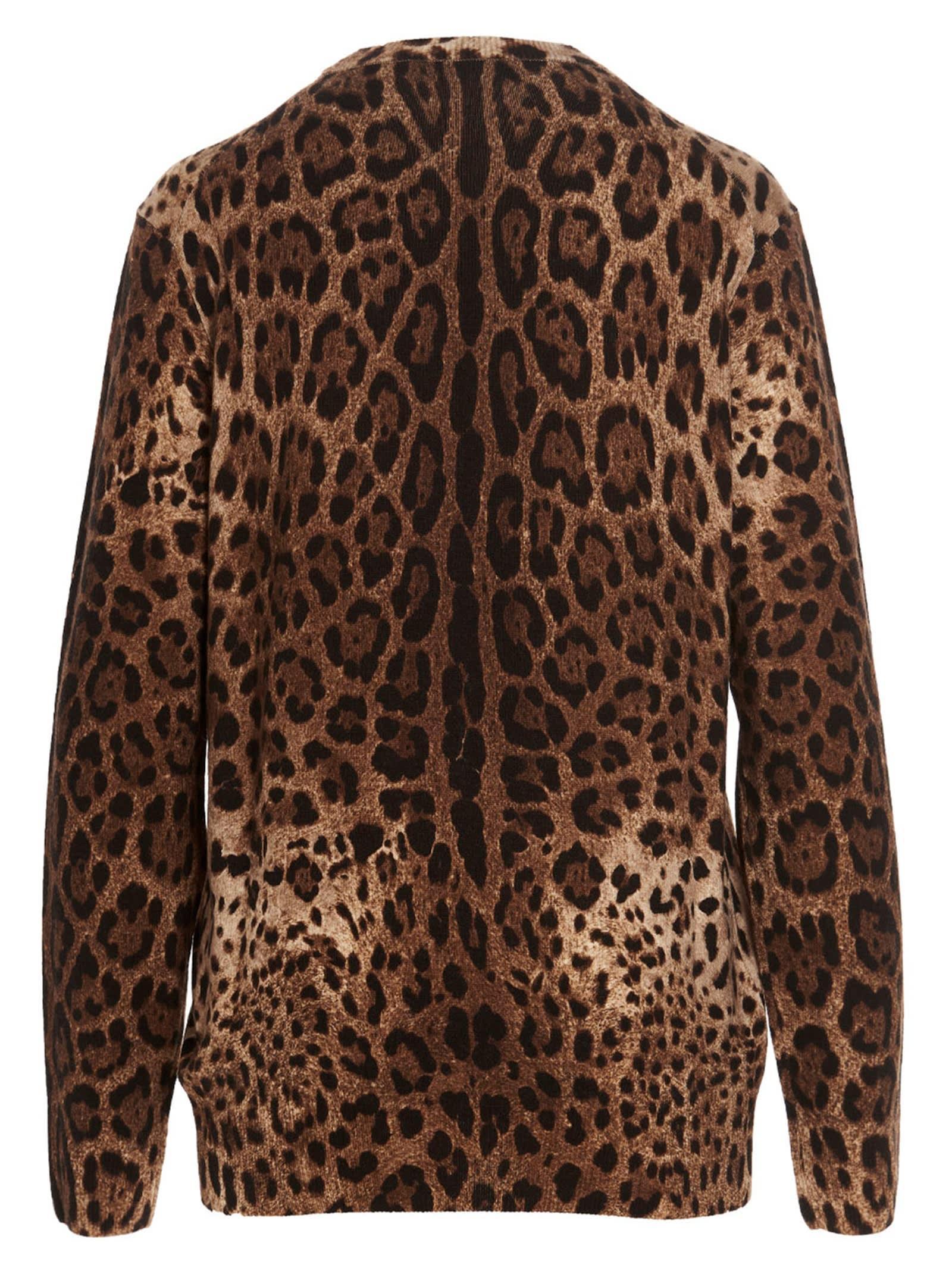 DOLCE & GABBANA Cashmere Animal Print Sweater In Multicolore Product Image