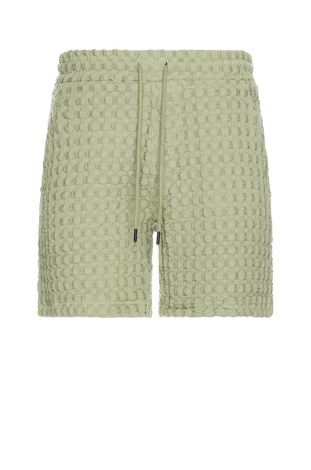 OAS Dusty Green Porto Waffle Shorts Green. (also in L, S, XL/1X). Product Image