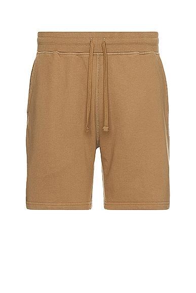 Midweight Terry Sweatshort 6" Product Image