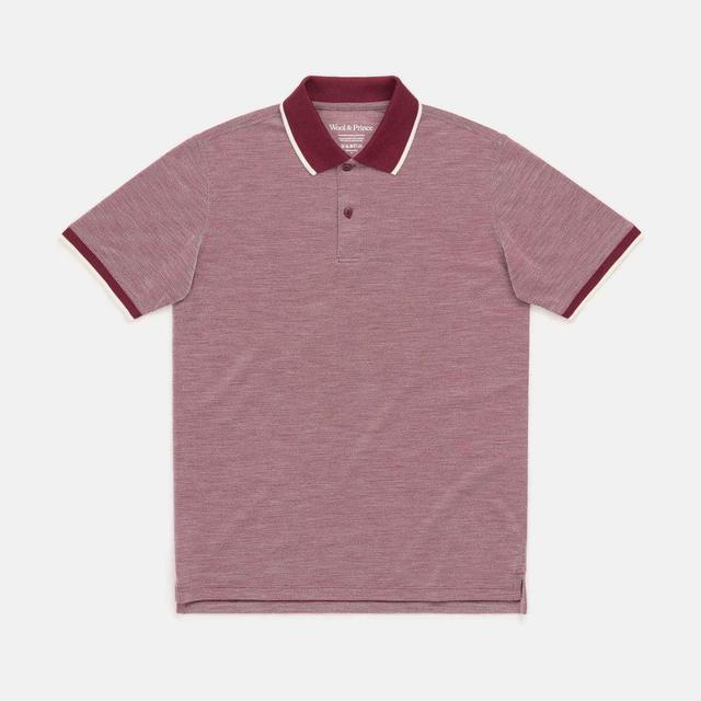 Tipped Pique Polo Product Image