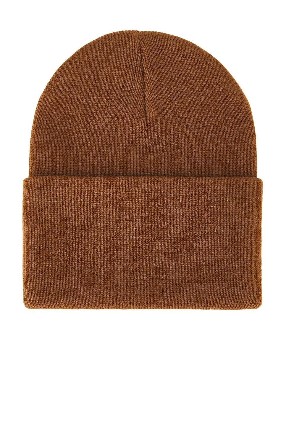 CARHARTT Watch Hat In Hamilton Brown Product Image