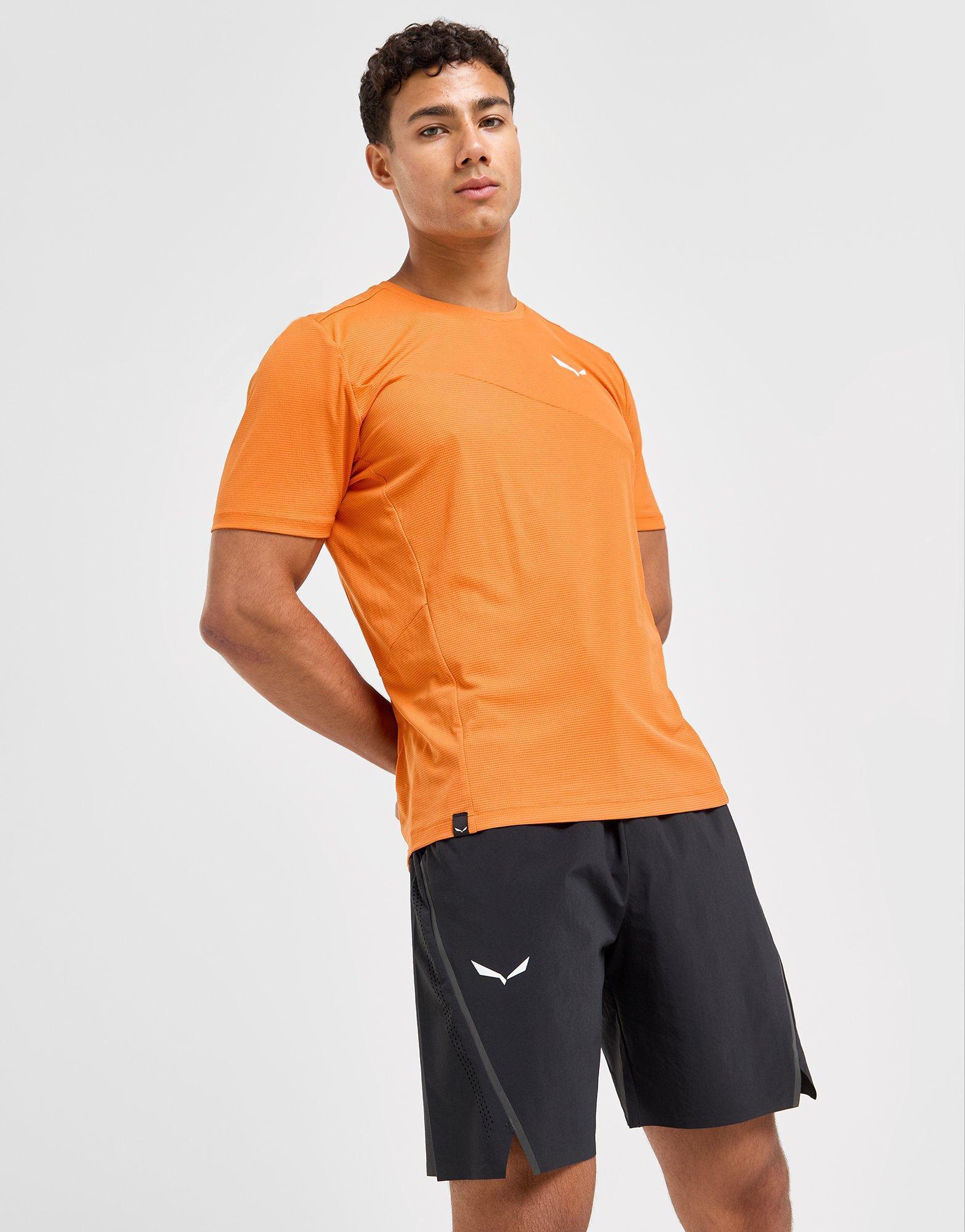 Salewa Pedroc 2 Shorts Product Image