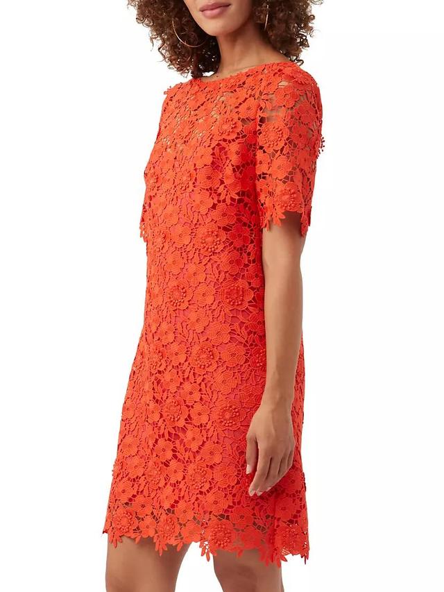 Sun Floral Lace Minidress Product Image