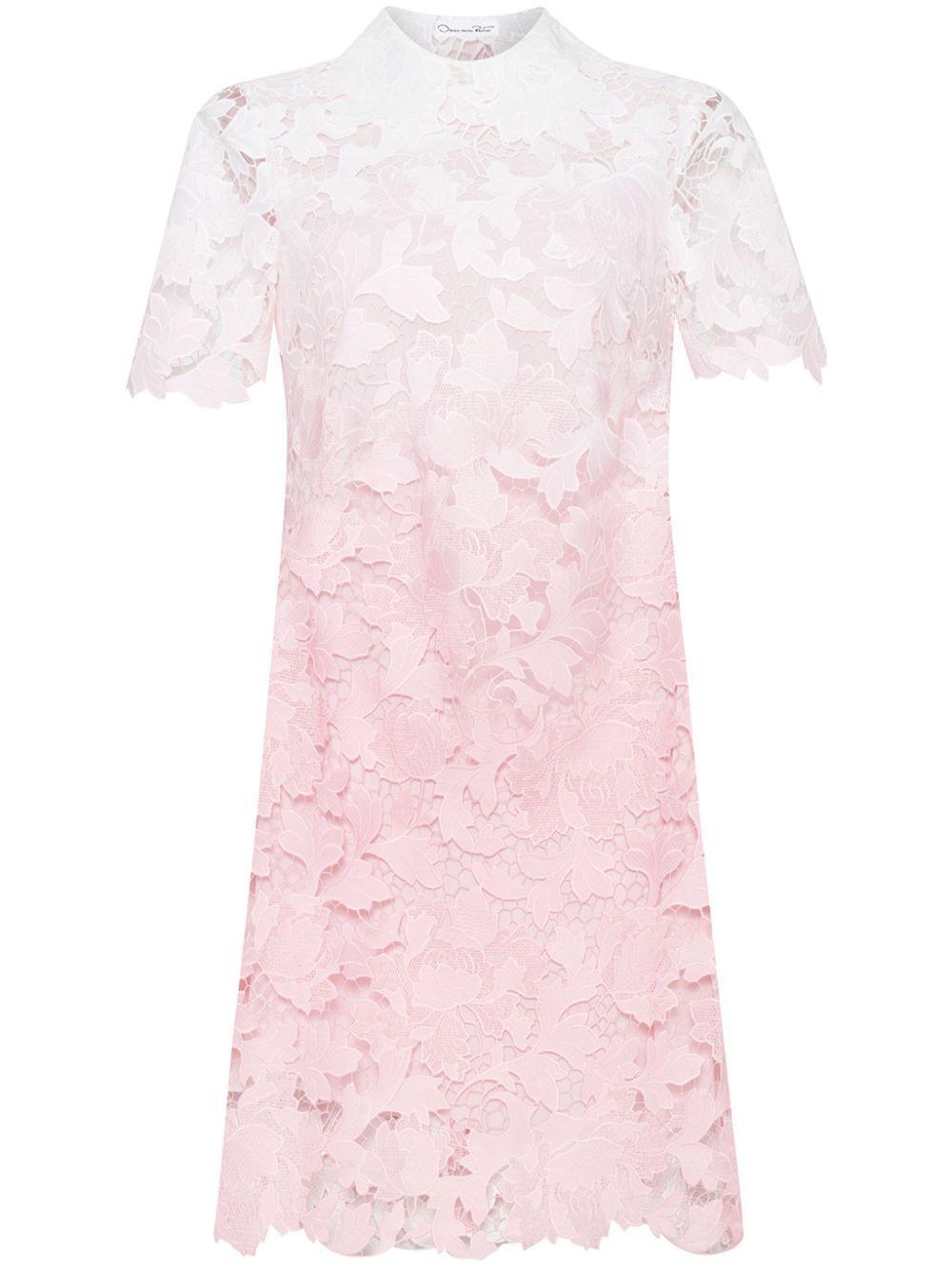 OSCAR DE LA RENTA Ombre Peony Guipure Shift Dress In Soft Pink Product Image