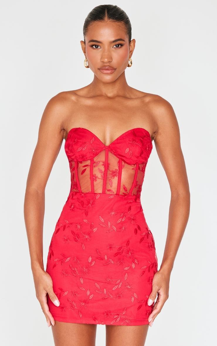 Cherry Red Floral Mesh Overlay Corset Mini Dress product image