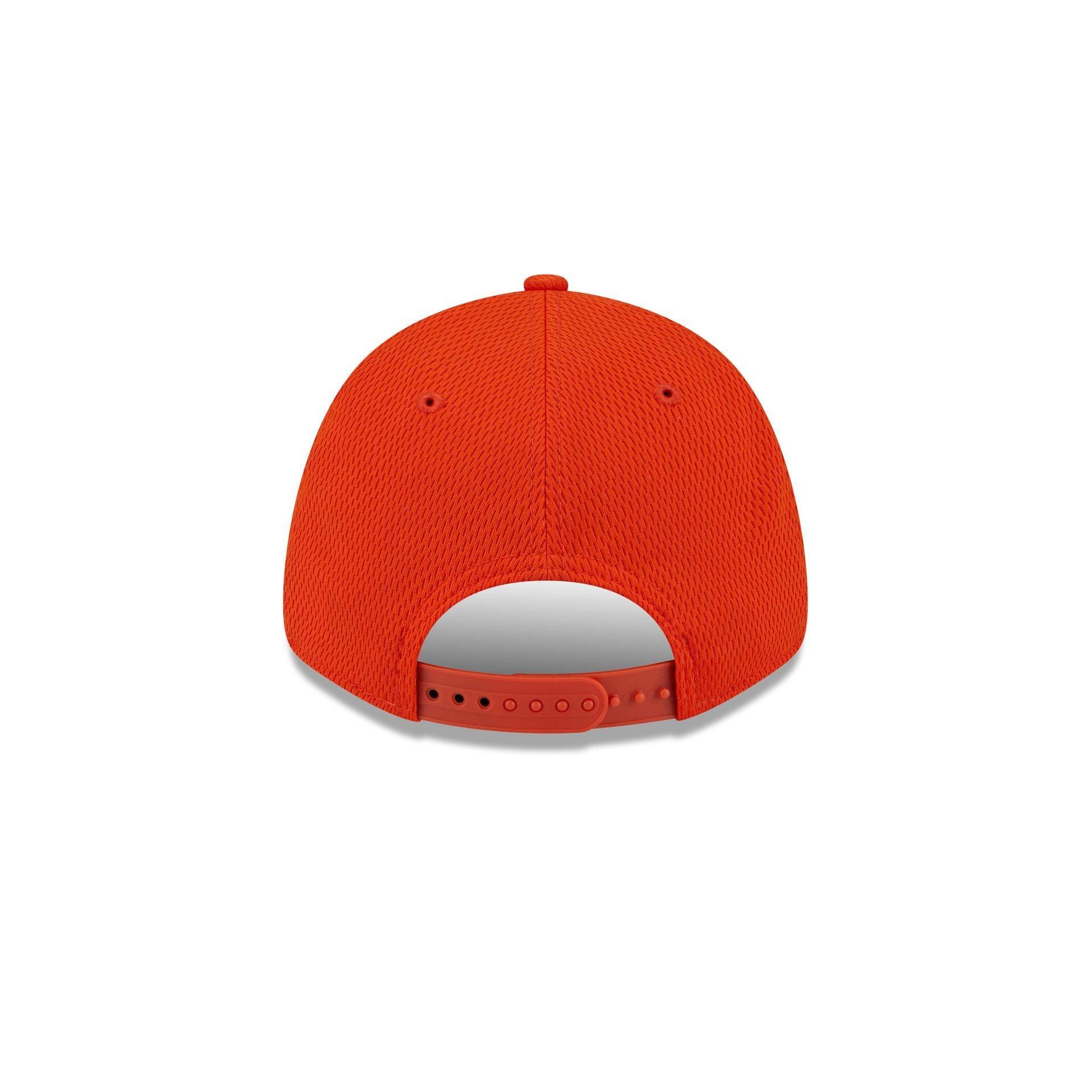 BC Lions Team 9FORTY Snapback Hat Male Product Image