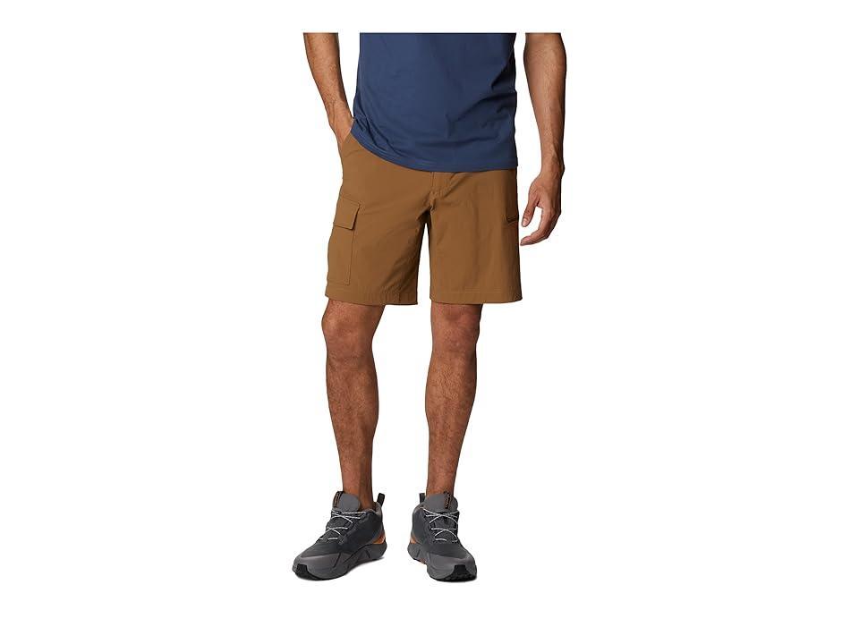 Columbia Newton Ridge II Shorts (Delta) Men's Shorts Product Image