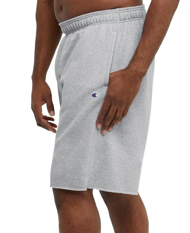 Champion Mens Big & Tall Powerblend Standard-Fit 10 Fleece Shorts Product Image