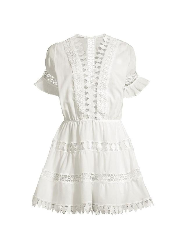 Womens Ora Embroidered Mini Dress Product Image