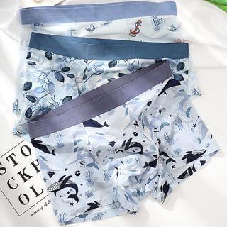 Print Boxer Briefs / Set Product Image