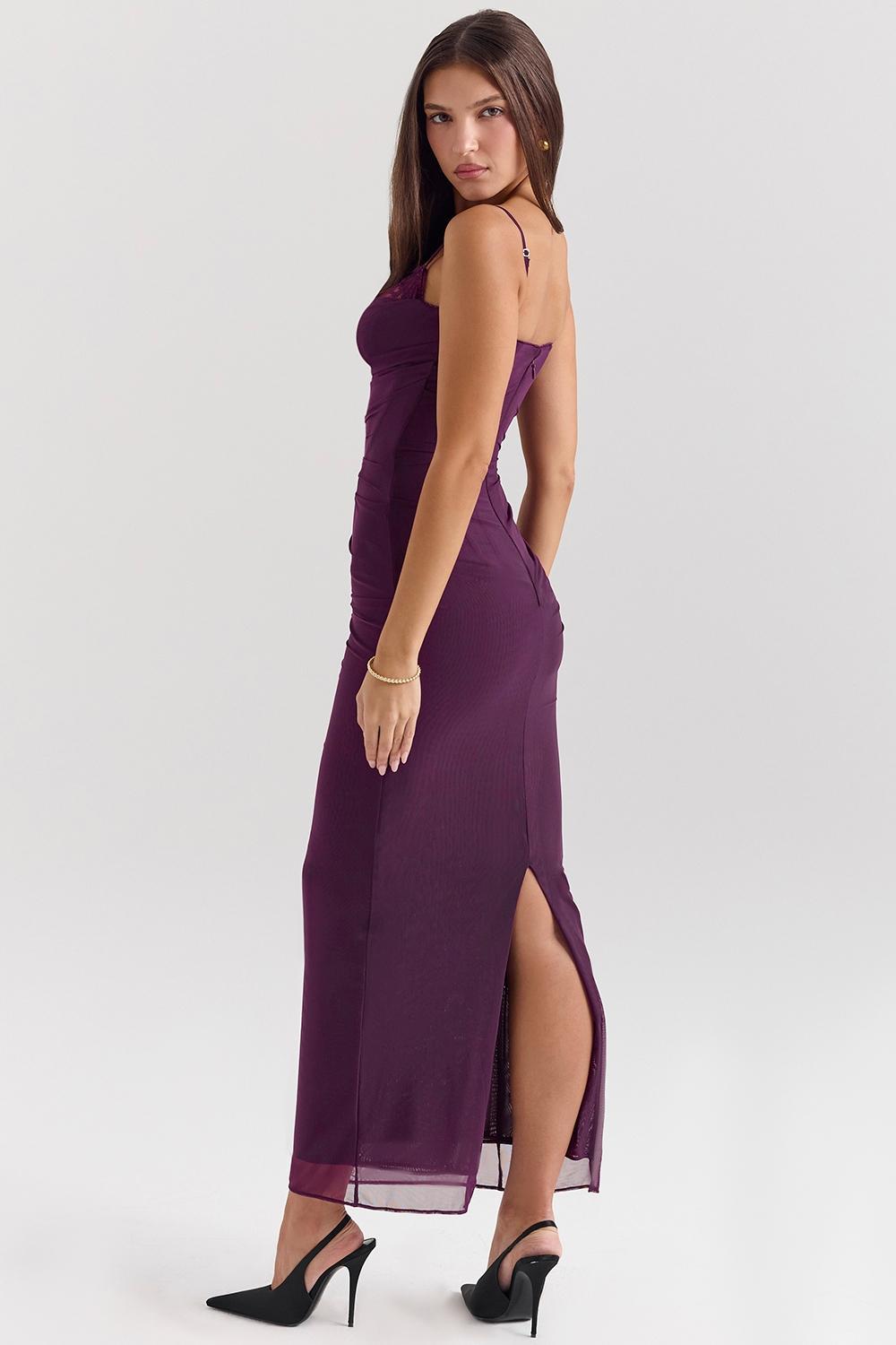 Nalini Grape Mesh Corset Maxi Dress Product Image