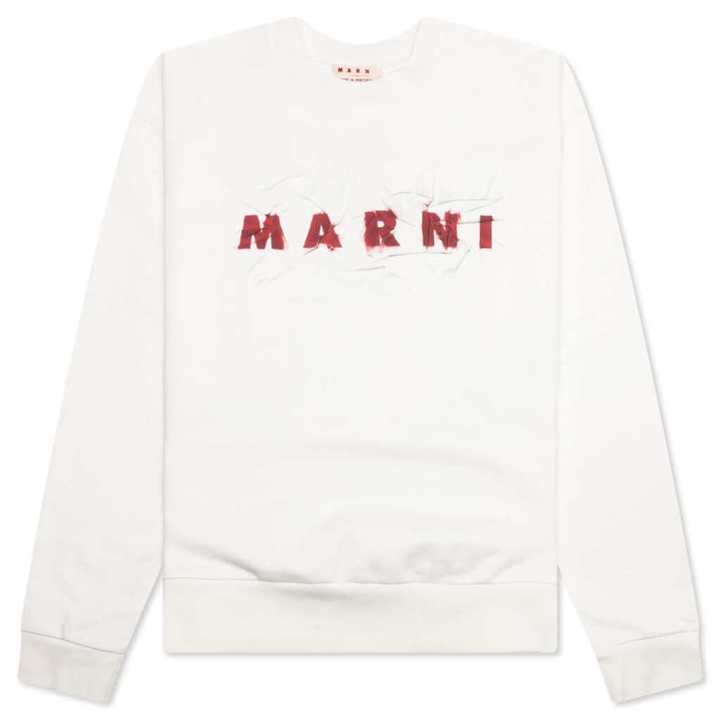 Logo Sweatshirt - Natural White Male Product Image