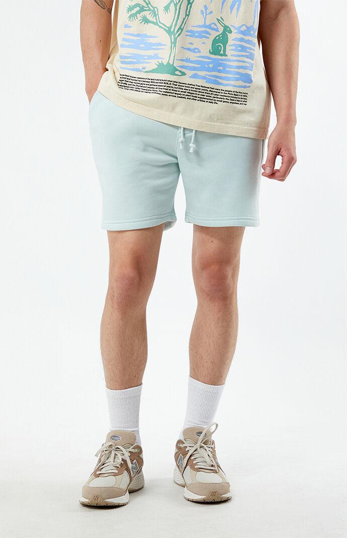 Men's Fleece Volley Shorts - Product Image