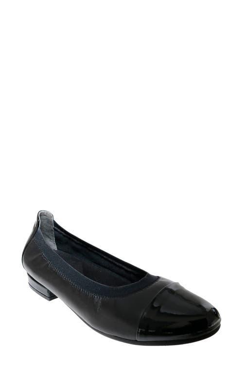 David Tate Nicole Cap Toe Flat Product Image