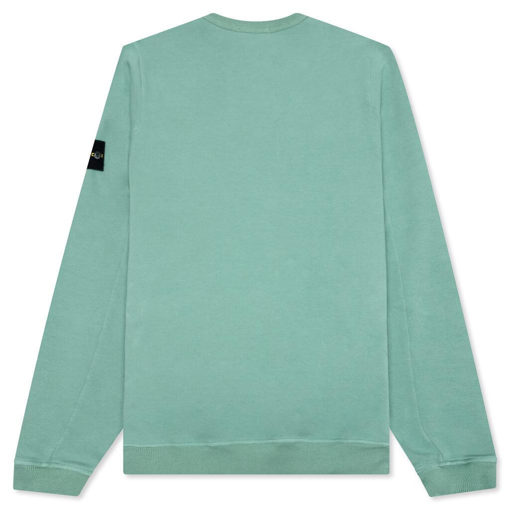 Crewneck Sweatshirt - Sage Green Male Product Image