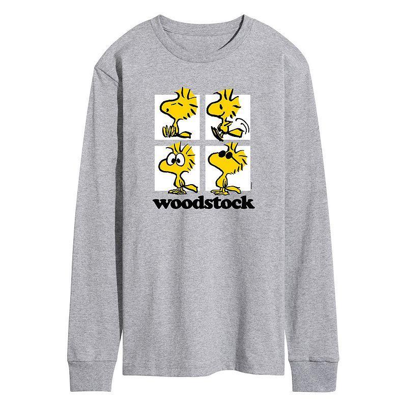 Mens Peanuts Woostock Grid Long Sleeve Grey Gray Product Image