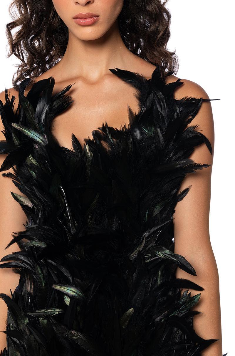 RAVEN FEATHER MINI DRESS Product Image