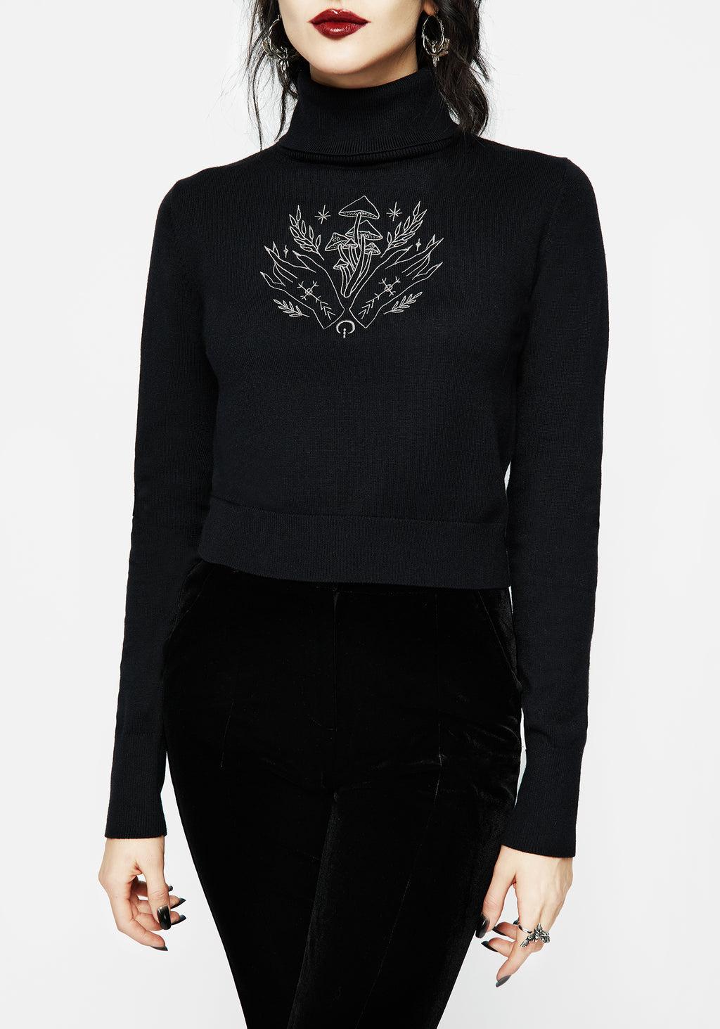 Mystify Embroidered Roll Neck Crop Sweater Product Image