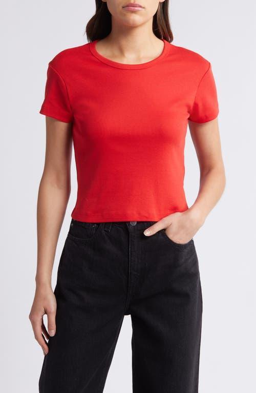 Stevie Crop Cotton Rib T-shirt In Red product image