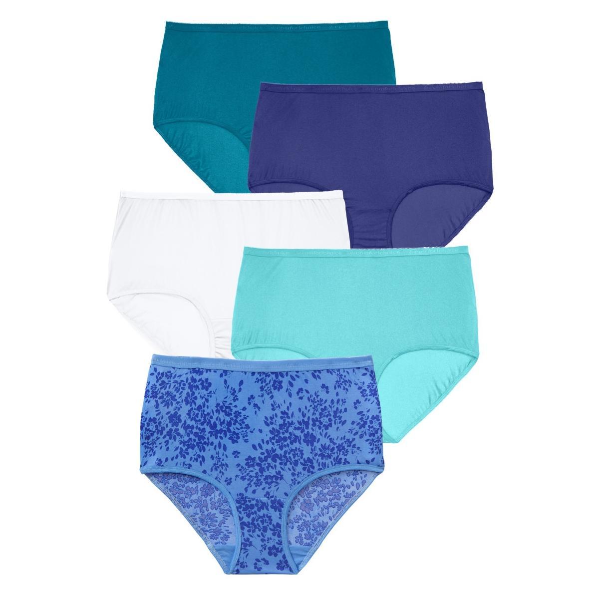 Comfort Choice Womens Nylon Brief 5-Pack Product Image