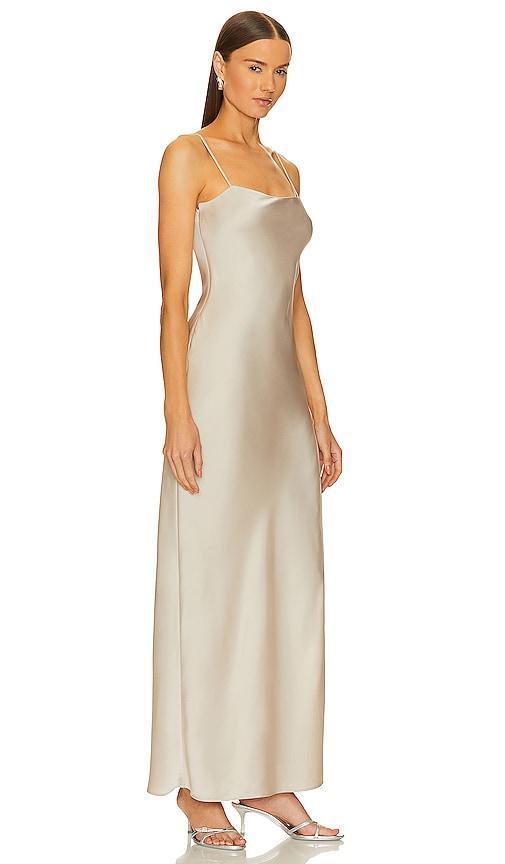 Aniston Maxi Dress Product Image