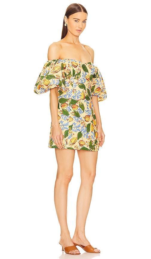 Rhode Dali Dress Size 4. Product Image