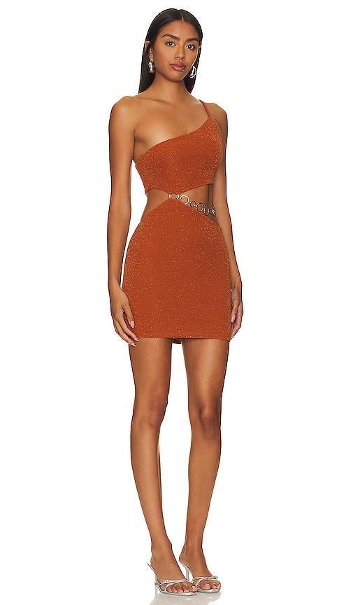 Lovers and Friends Kiana Mini Dress Size M, S, XL, XS. Product Image