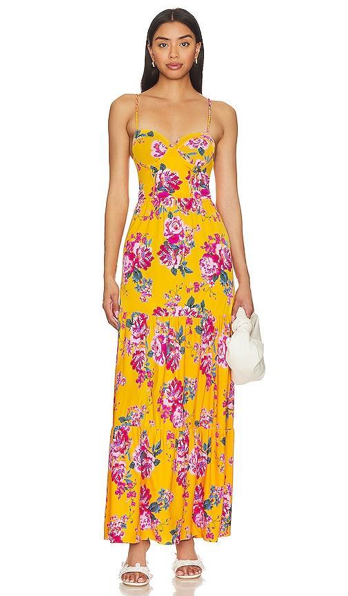 Curiosity Maxi Dress Product Image