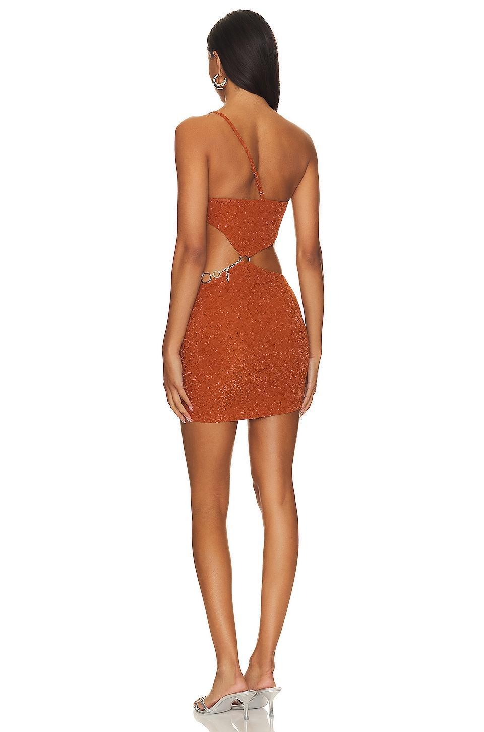 Kiana Mini Dress Lovers and Friends Product Image