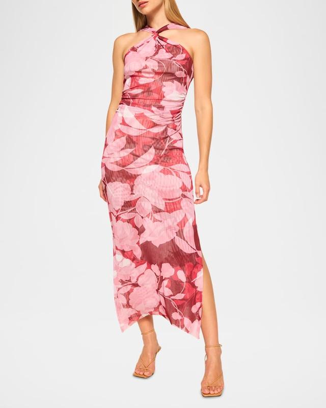 Elaine Floral Mesh Halter Midi Dress Product Image