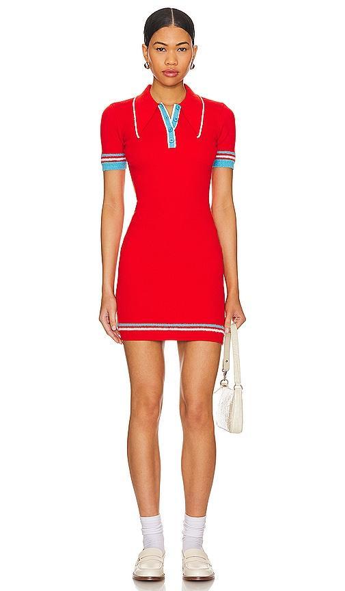 Mini Polo Dress Product Image