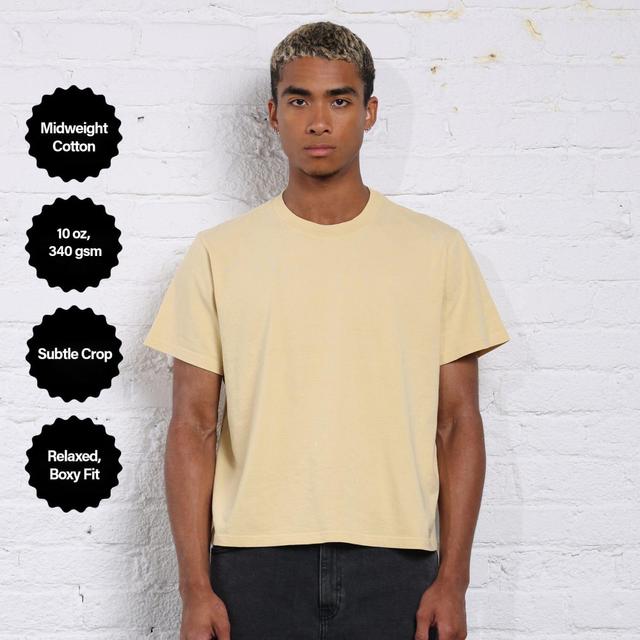 The Silverlake Crop Tee II Product Image