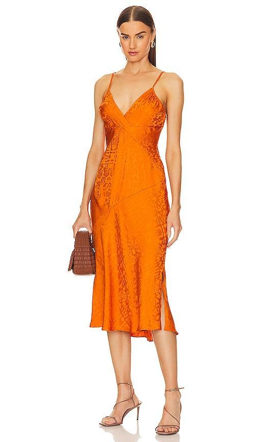 Womens Leo Leopard Jacquard Bias Slip Dress Product Image