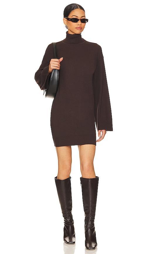 Fallon Sweater Dress Product Image