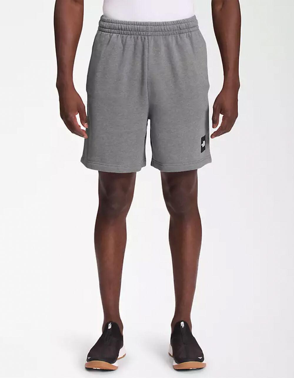 THE NORTH FACE Box NSE Mens Shorts Product Image