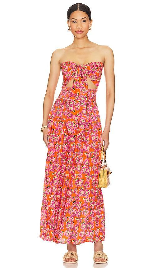 Moana Maxi Dress Product Image