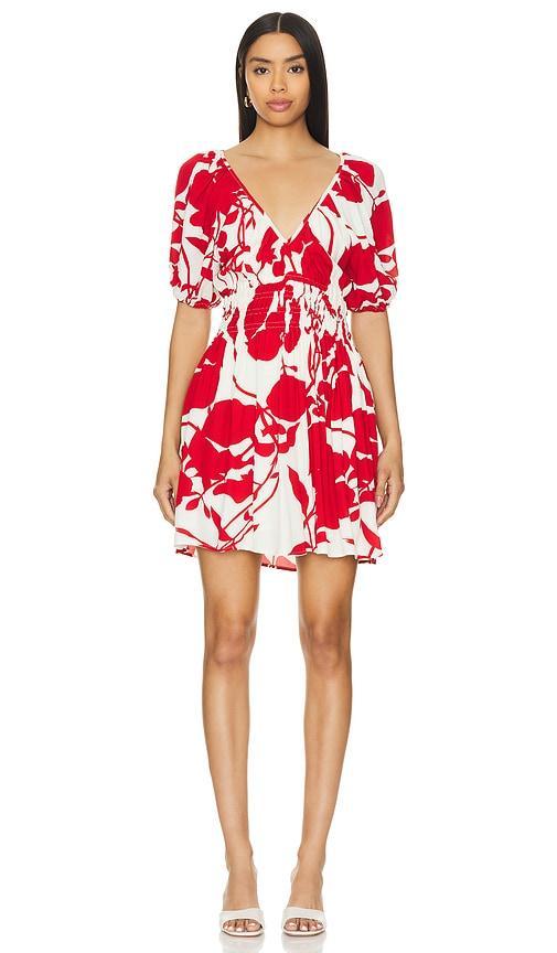 x REVOLVE Salone Mini Dress Product Image