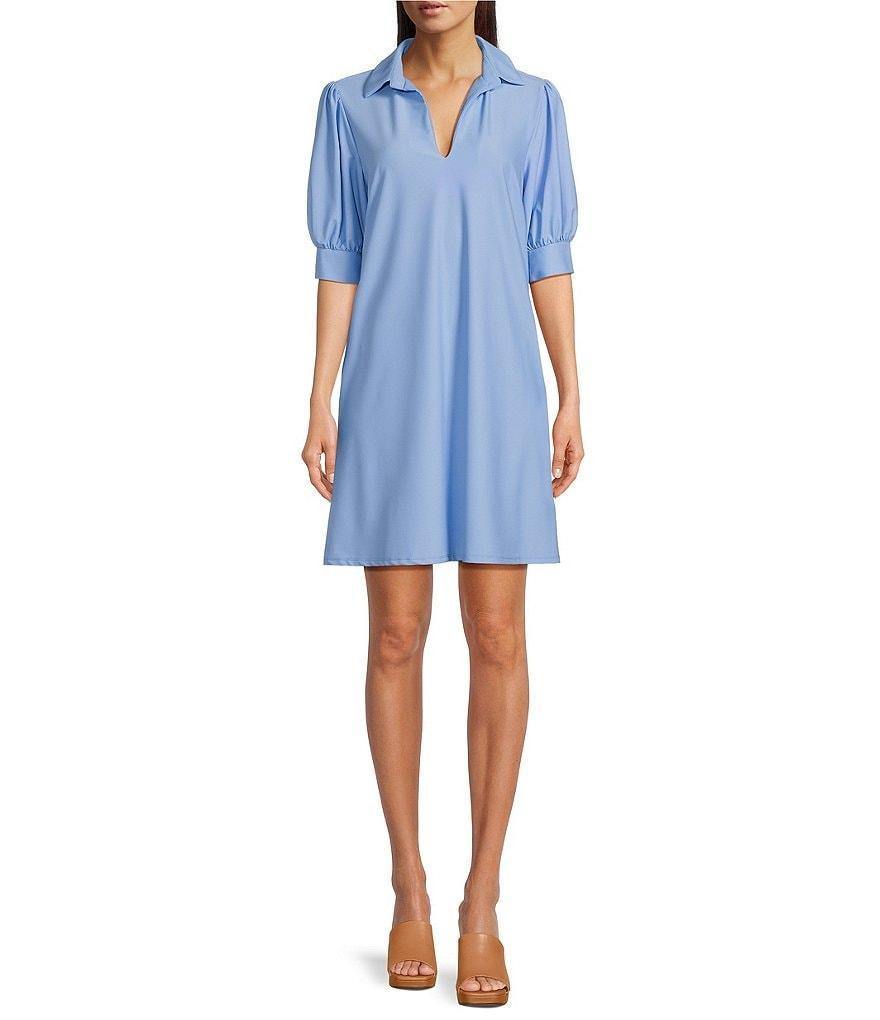 Jude Connally Emerson Jude Cloth Knit Point Collar Puffed Sleeve Shift Dress Product Image