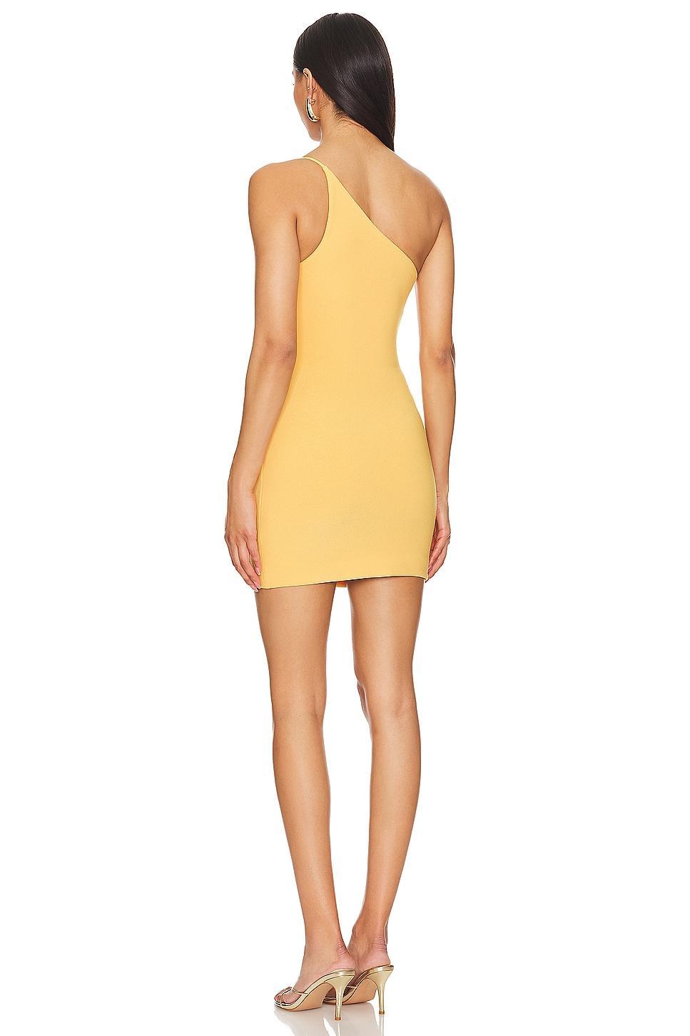 Nala One Shoulder Mini Dress Bec + Bridge Product Image