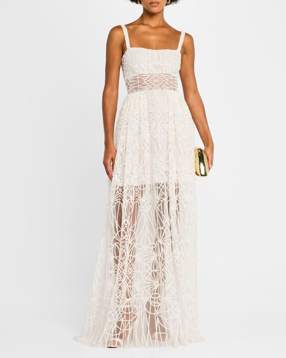 Cathedral Embroidered Tulle Maxi Dress Product Image