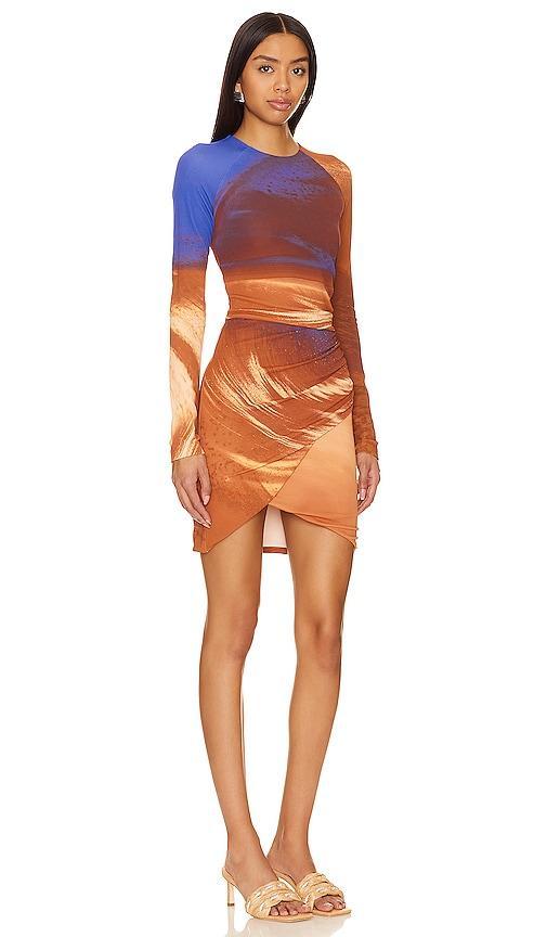 SIMKHAI Abby Long Sleeve Ruched Mini Dress in Rust Product Image