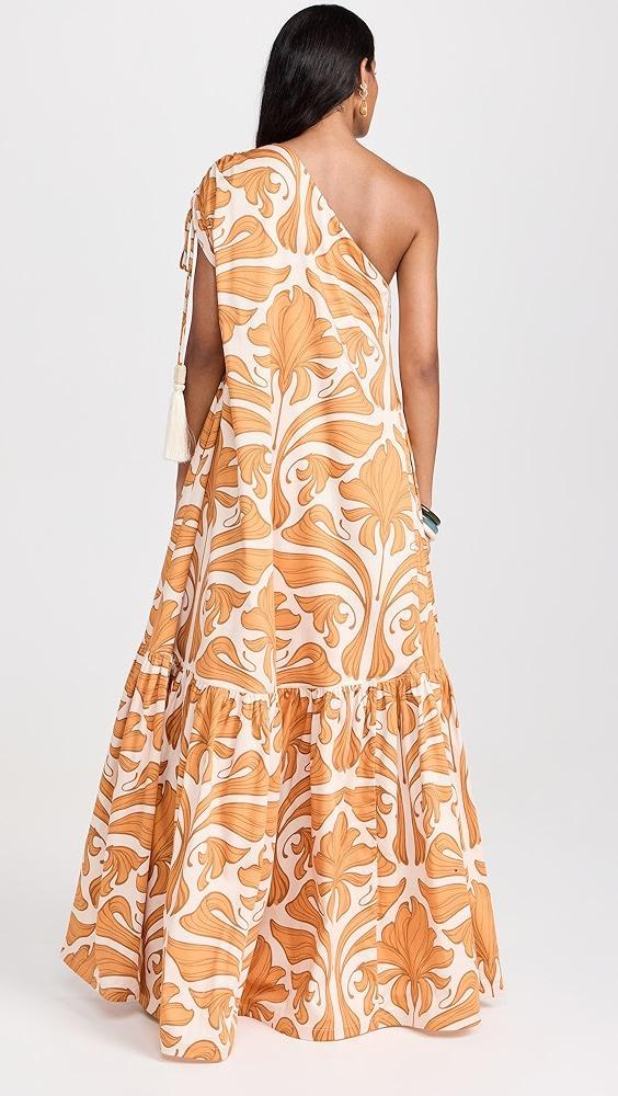 Andres Otalora Prodigiosa Maxi Dress | Shopbop Product Image